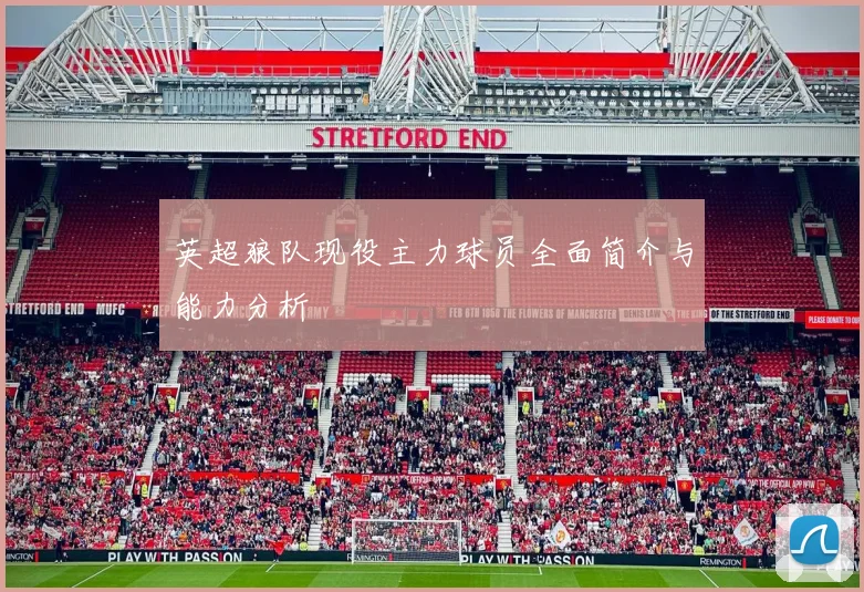 英超狼队现役主力球员全面简介与能力分析