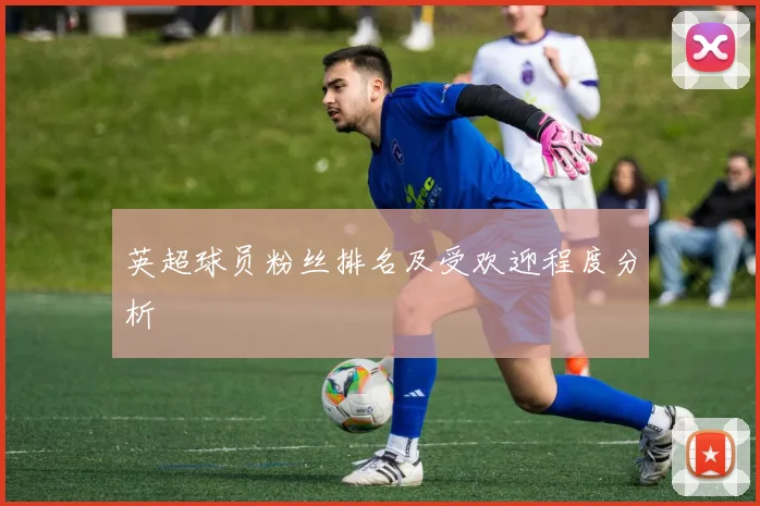 英超球员粉丝排名及受欢迎程度分析