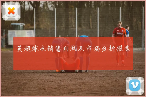 英超球衣销售利润及市场分析报告