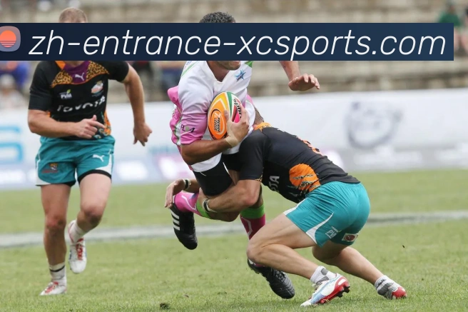 杏彩体育品牌故事