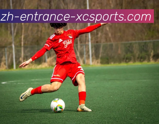 杏彩体育服务体系